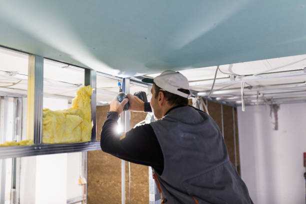 Best Residential Insulation in Kaukauna, WI